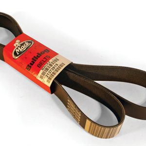 Correa Ventilador (NP 1000-SB615K10)